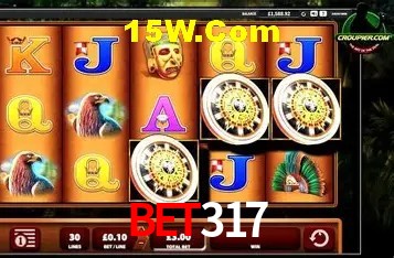 BET317 Salvador - Support